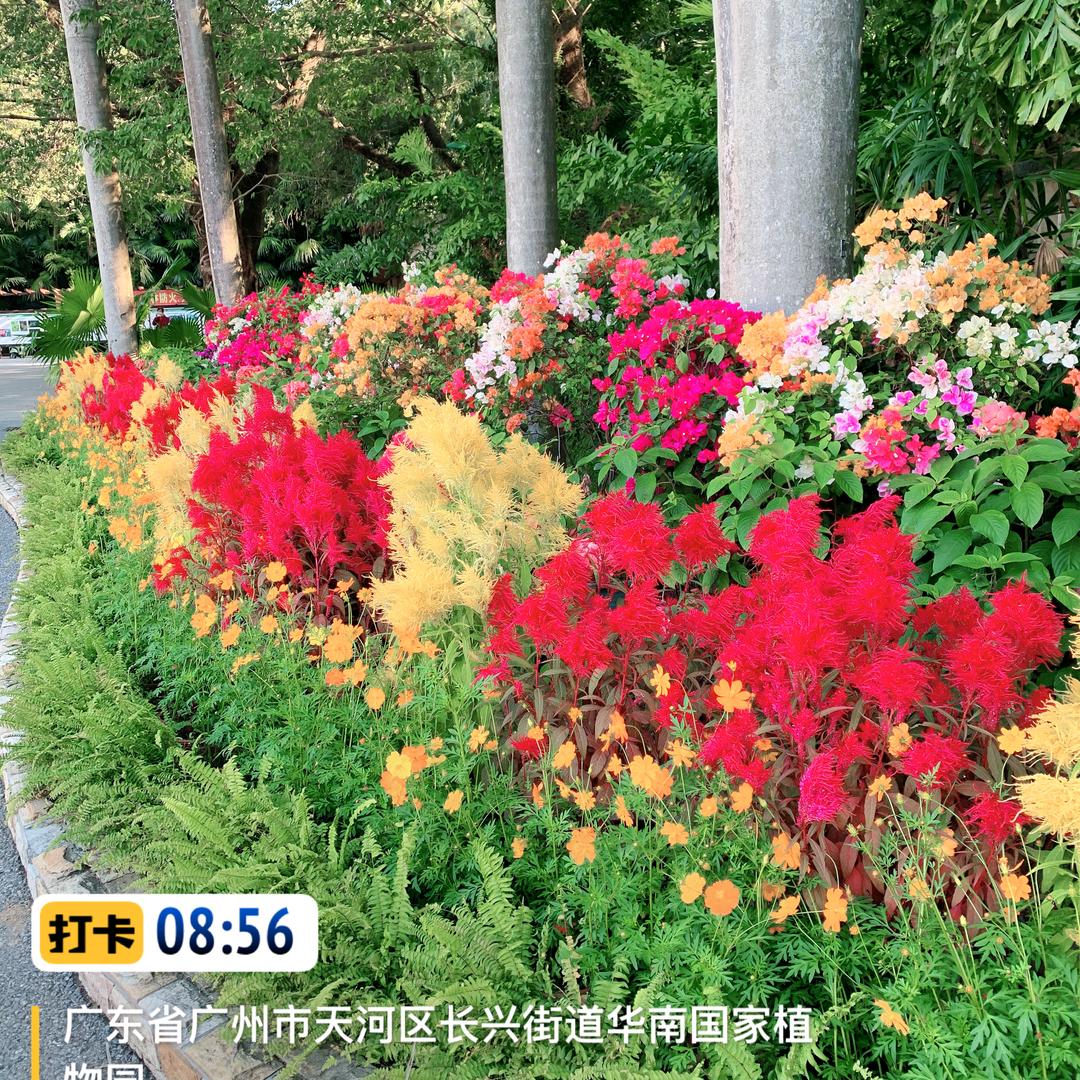 奋斗