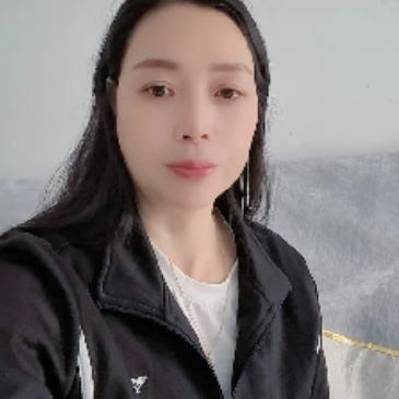 玲姐