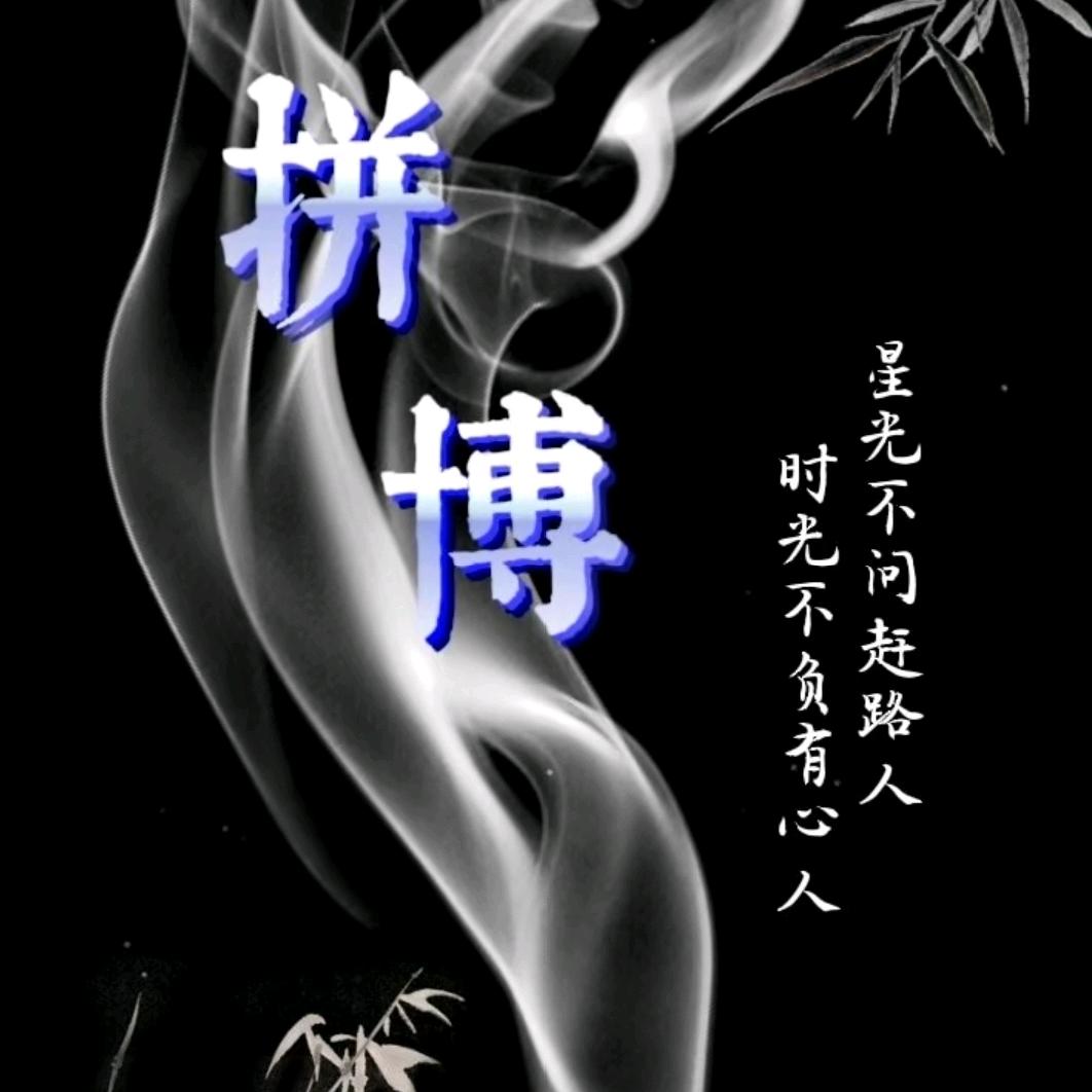 茂哥