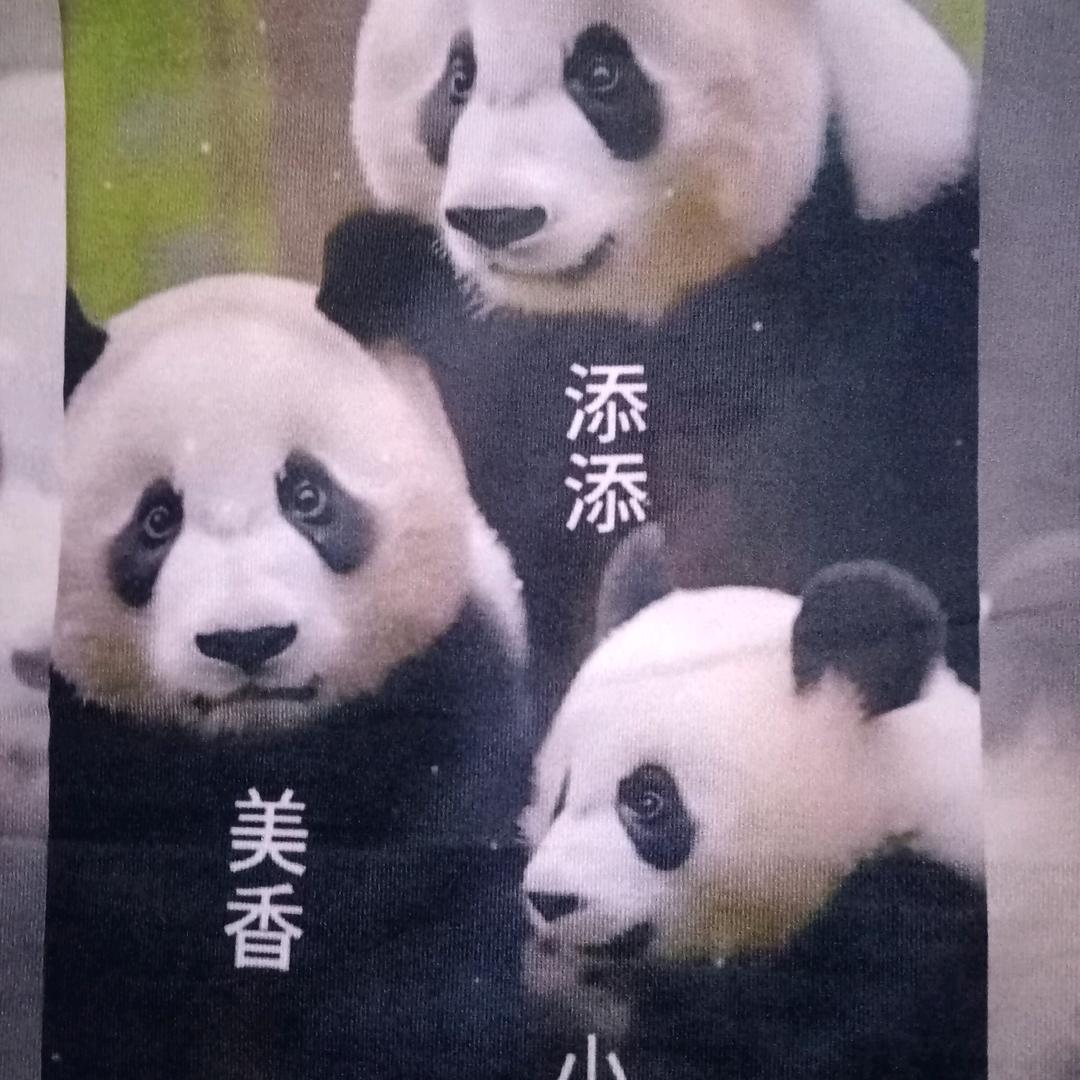 十年之约