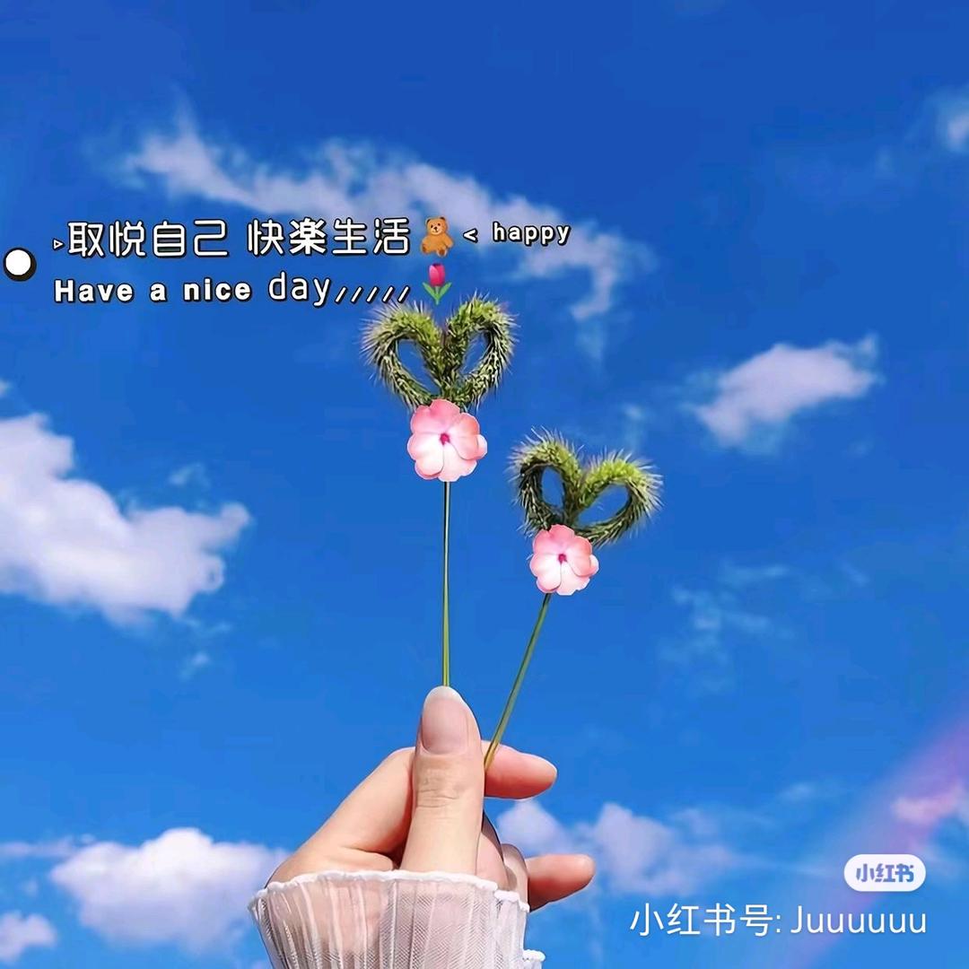 软耳兔