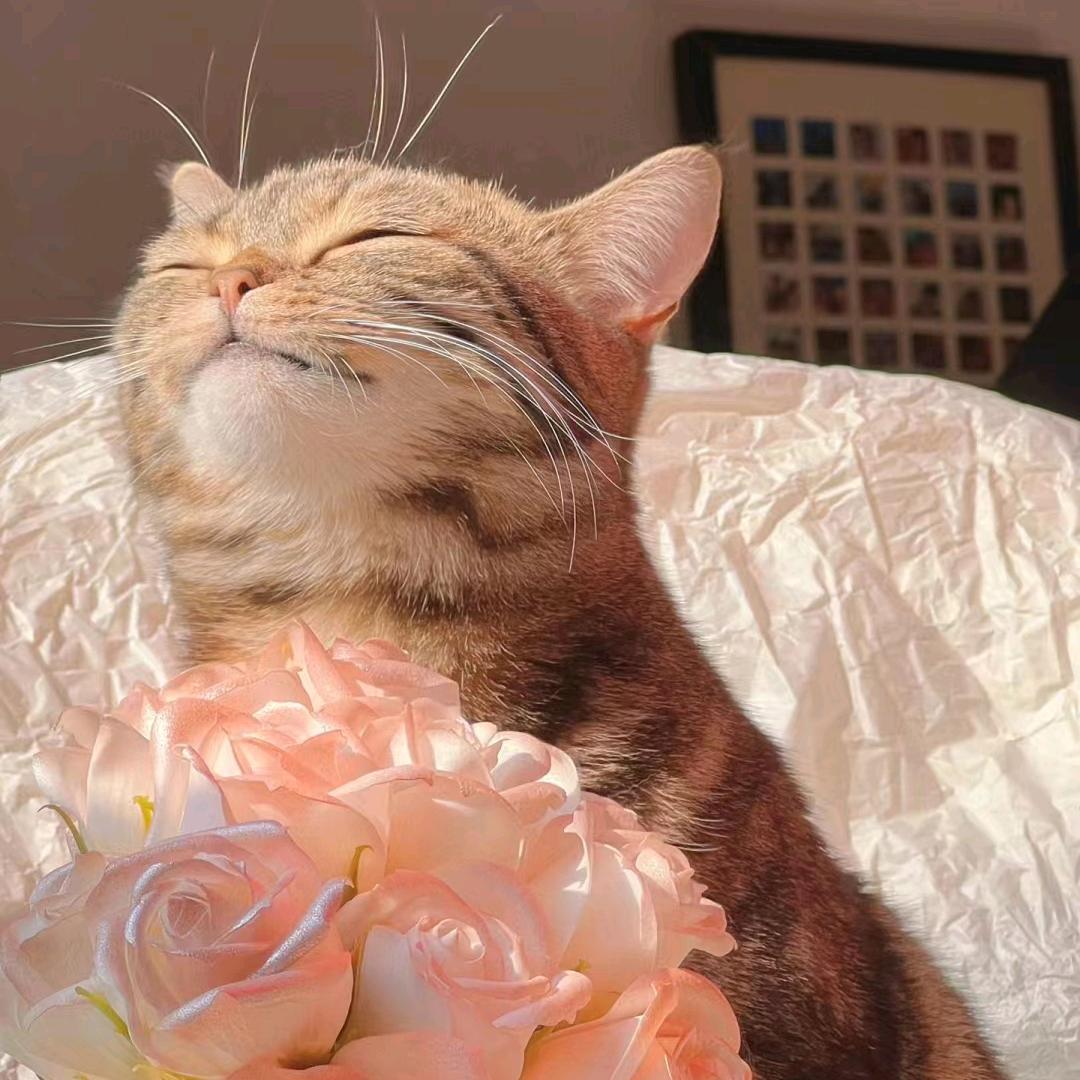 凌云家电城大厦店 牟进荣