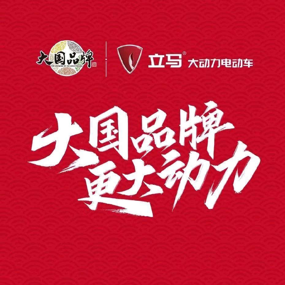海口立马大动力电动车