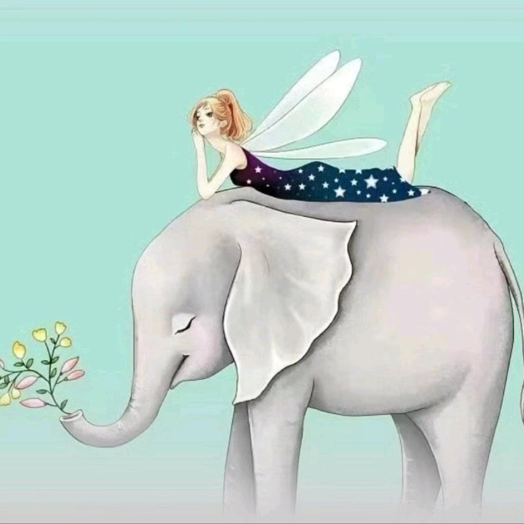 南河沿爱宝堡秄育