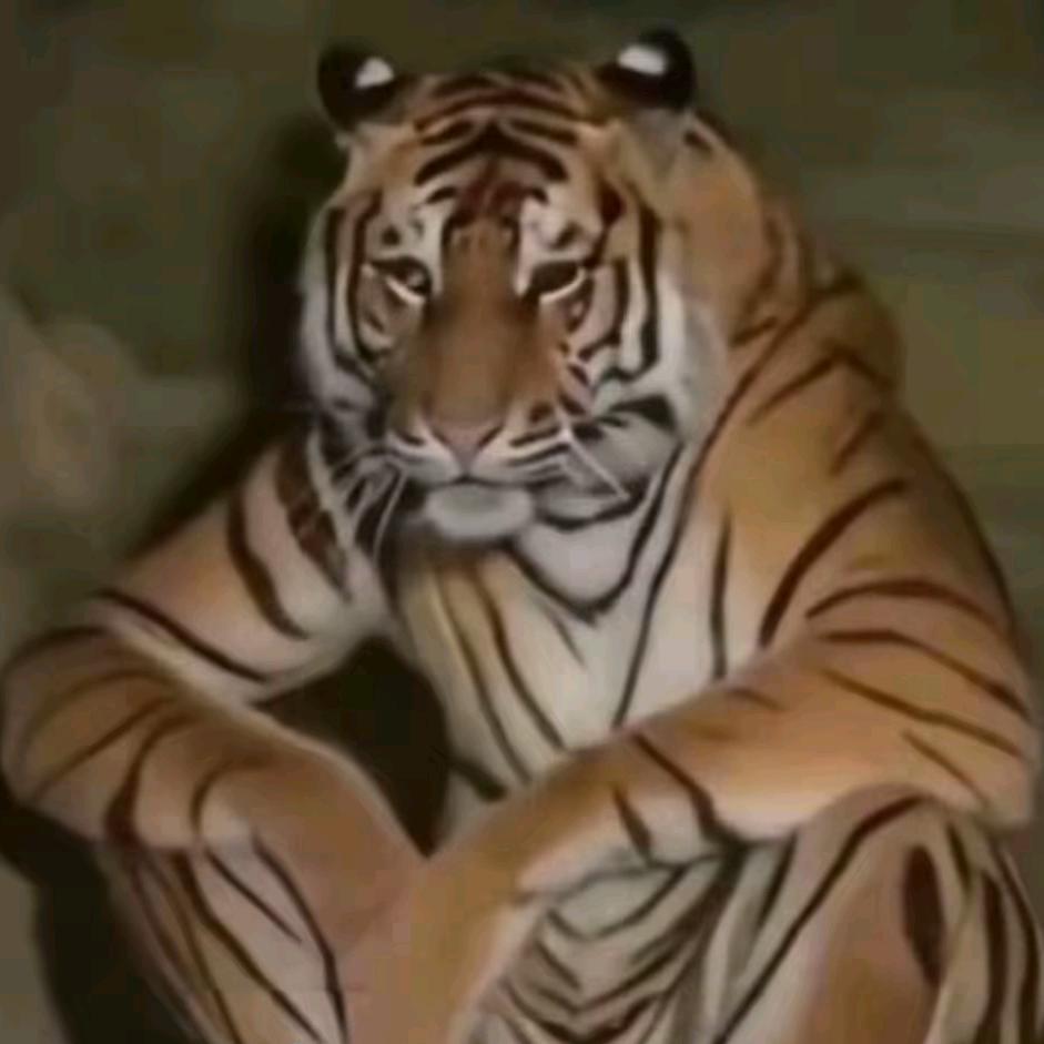 没烟没火