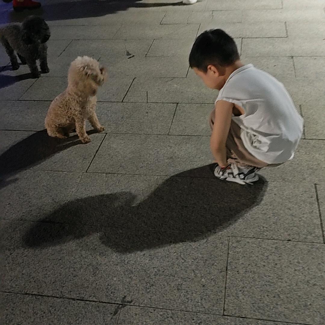 猪猪宝贝呀( ﹡ˆoˆ﹡ )