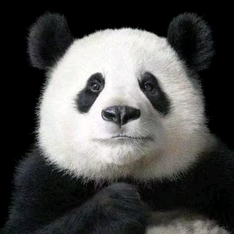 这就是wo