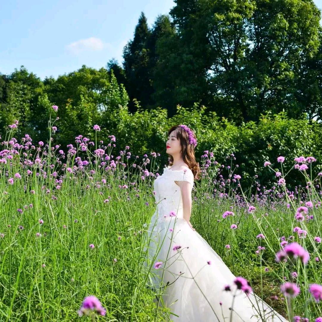 🥀᭄春风十里💕