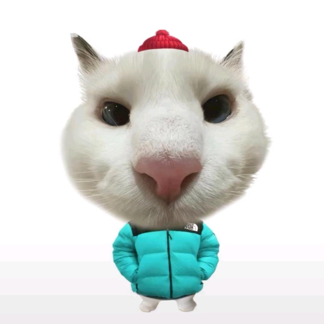 别舔哥的泪ㅤ