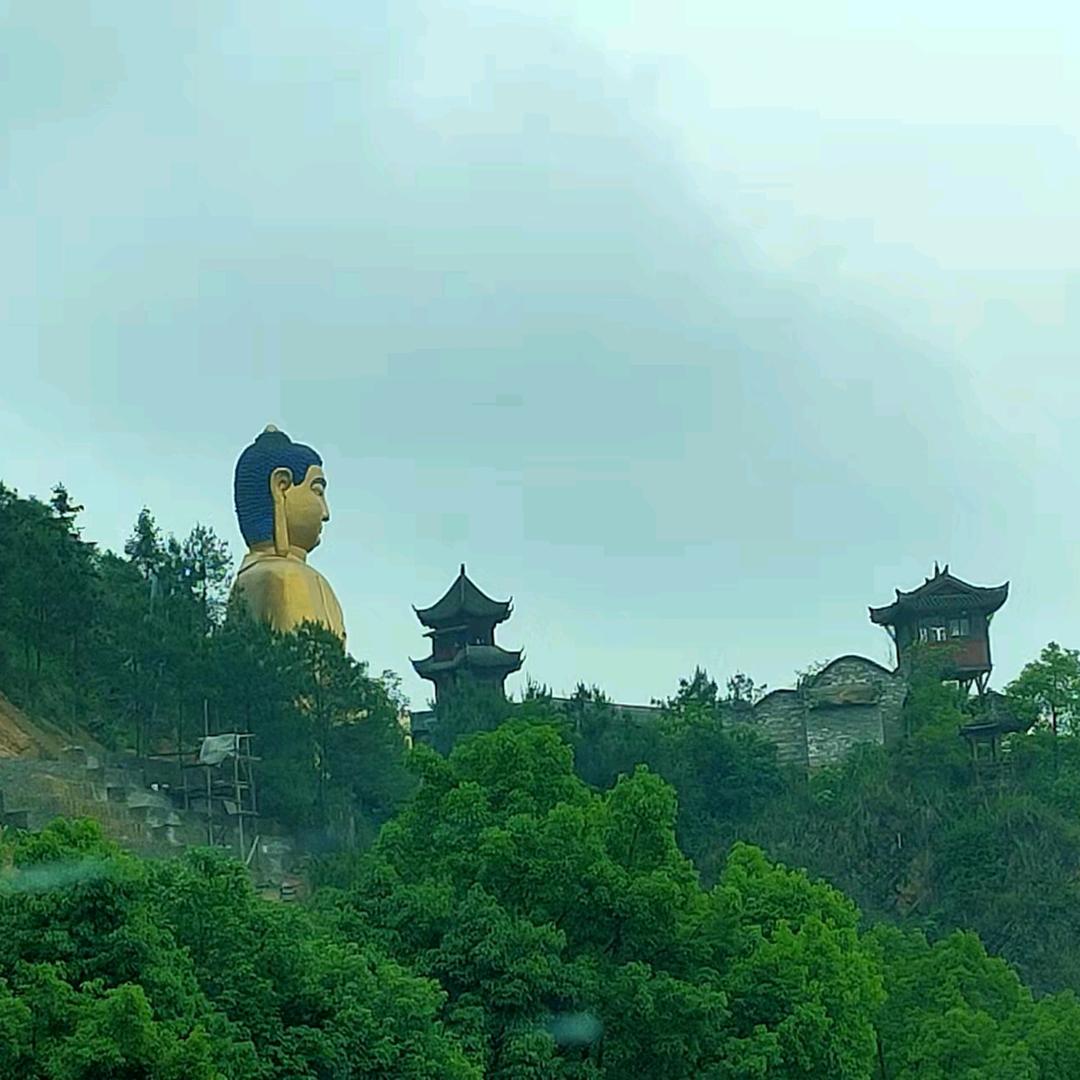 华子