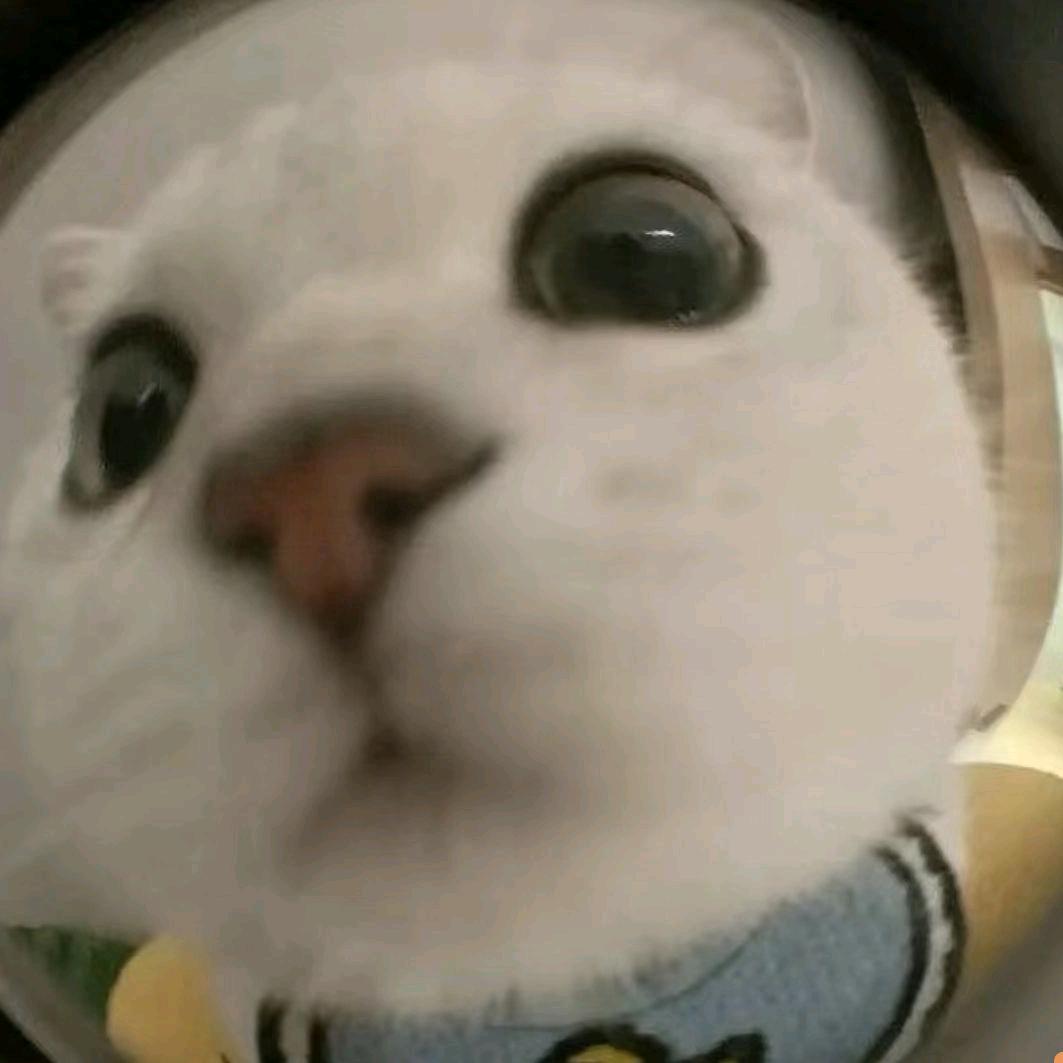 拜拜