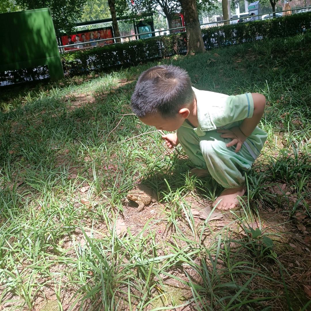 加油加油