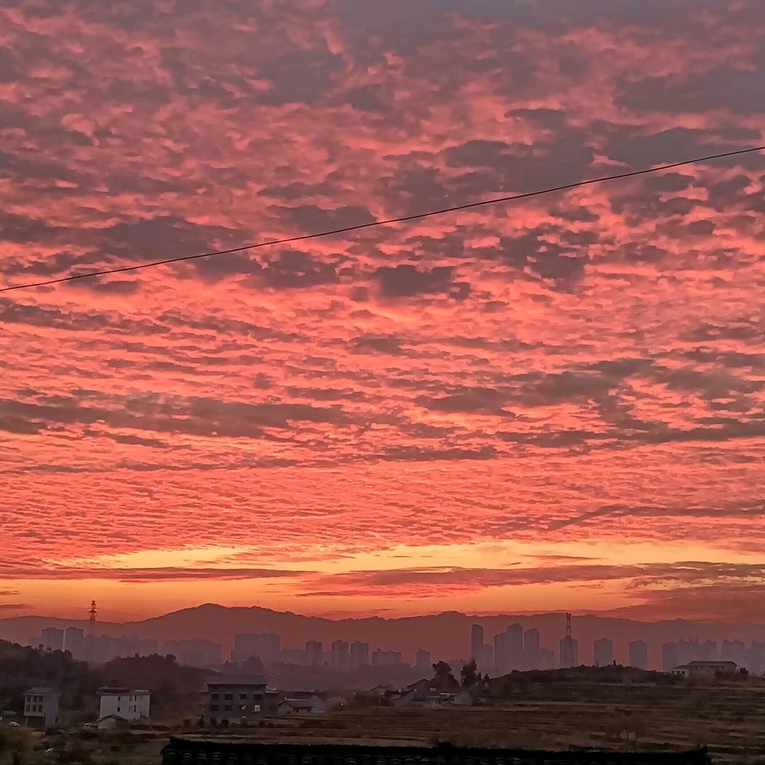 ⊙田田