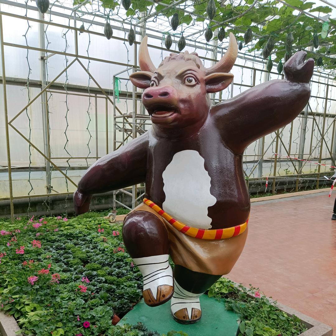 星夜的光