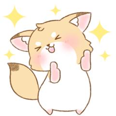 彬宝 （有关毕回）