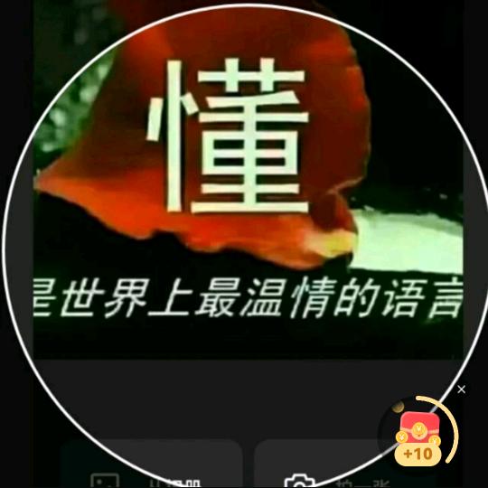 与世无争