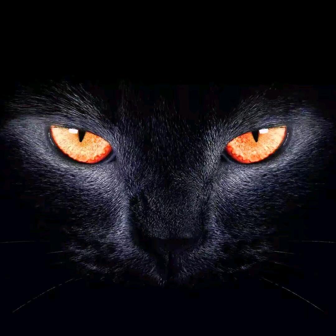 🔥黑石🔥