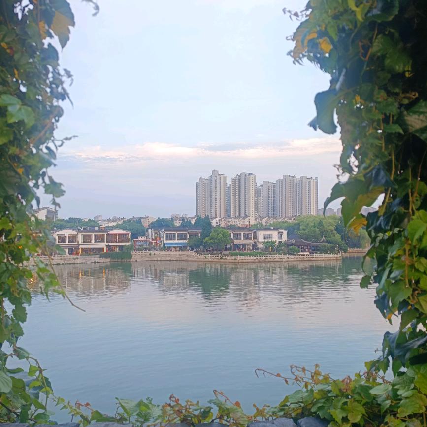 小羽头像