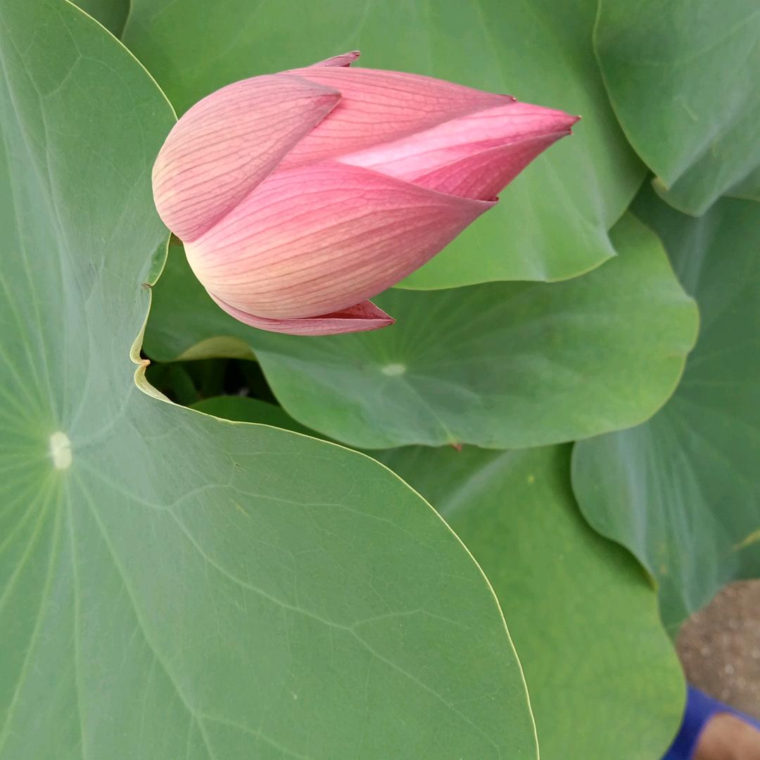 安溪县万能通