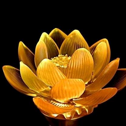 煜 🦊 缘🦊🦊