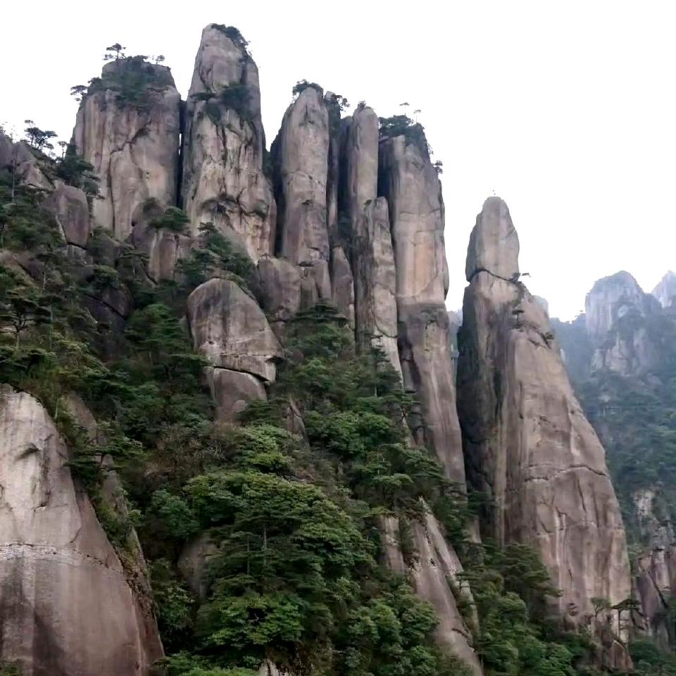 学歌，心如止水观明月