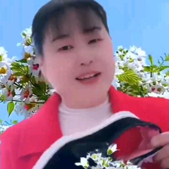 🌹菊花🌴