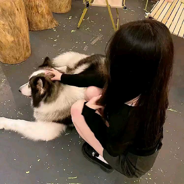 修莞.🐰