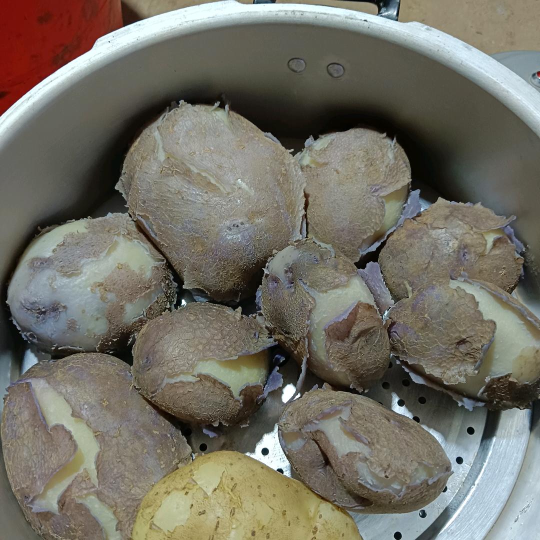 小黑洋芋白花洋芋种植