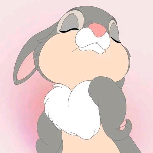 犹如昙花梦一场