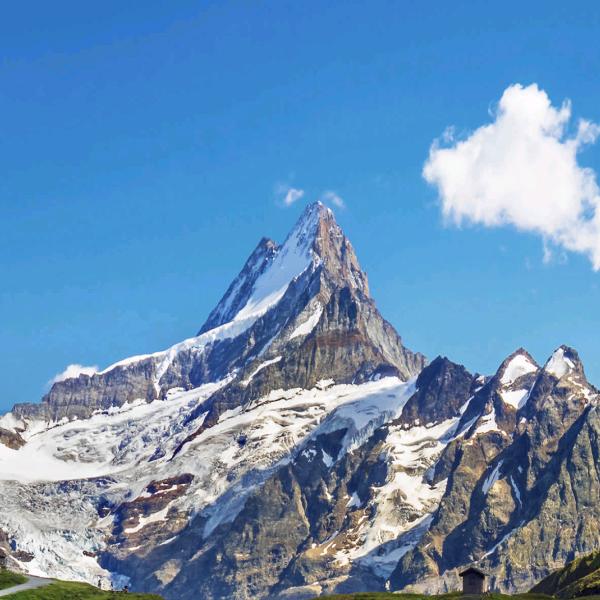 长弓【爱吃芒果🥭】