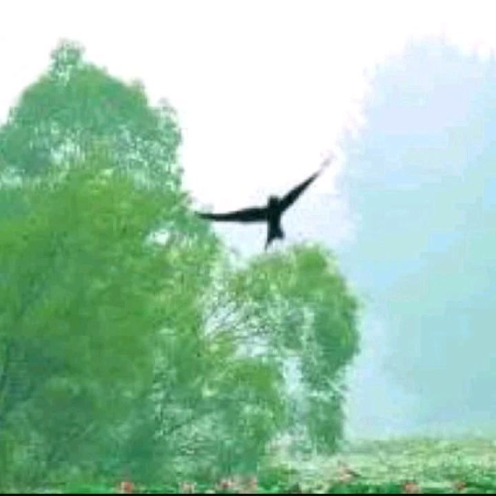 友谊~情感