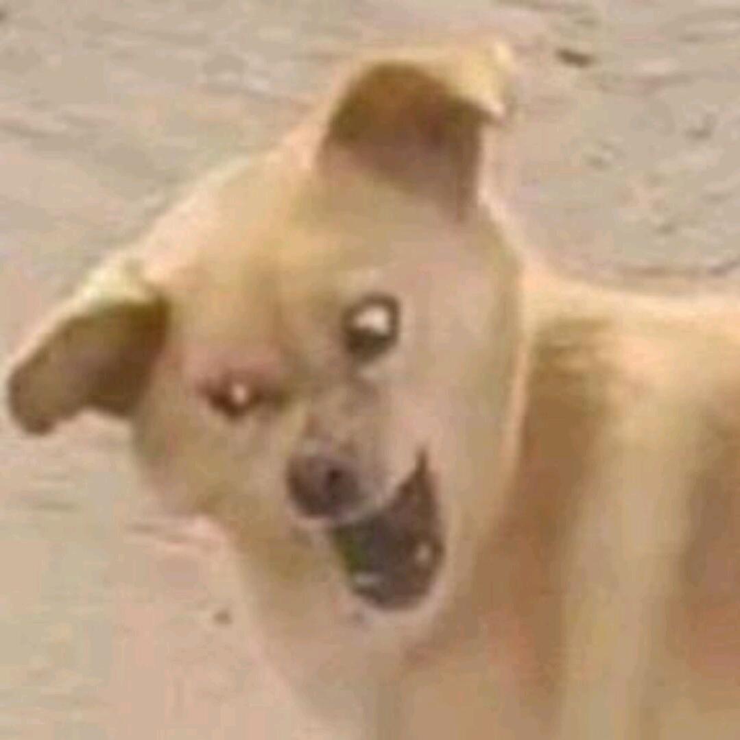 凌与零之界