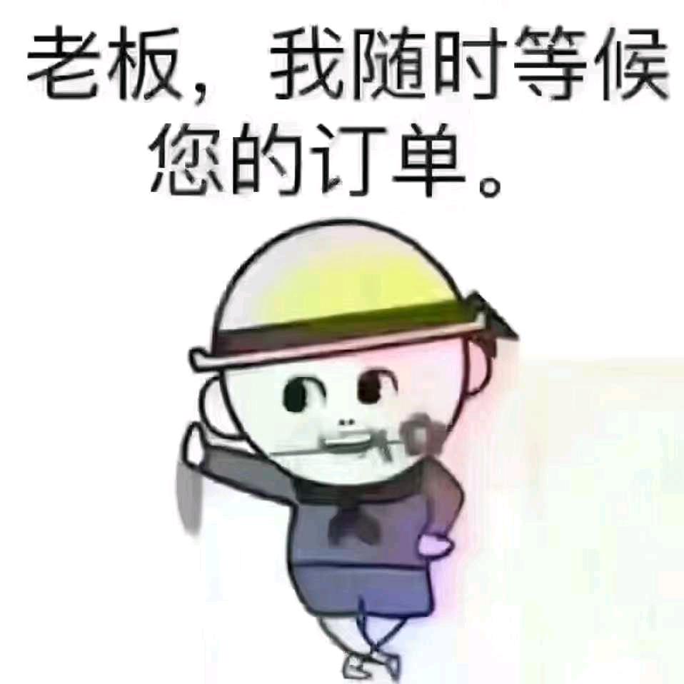 兰州开业绿植