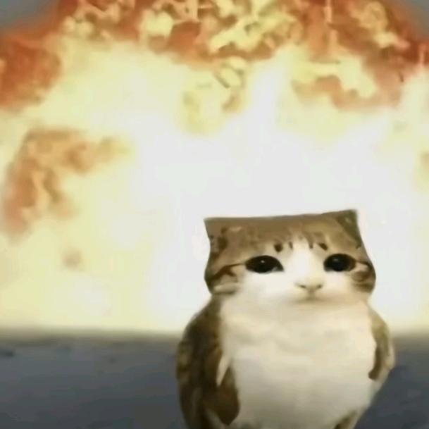 爆炸猫猫头