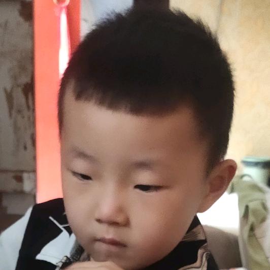凤英
