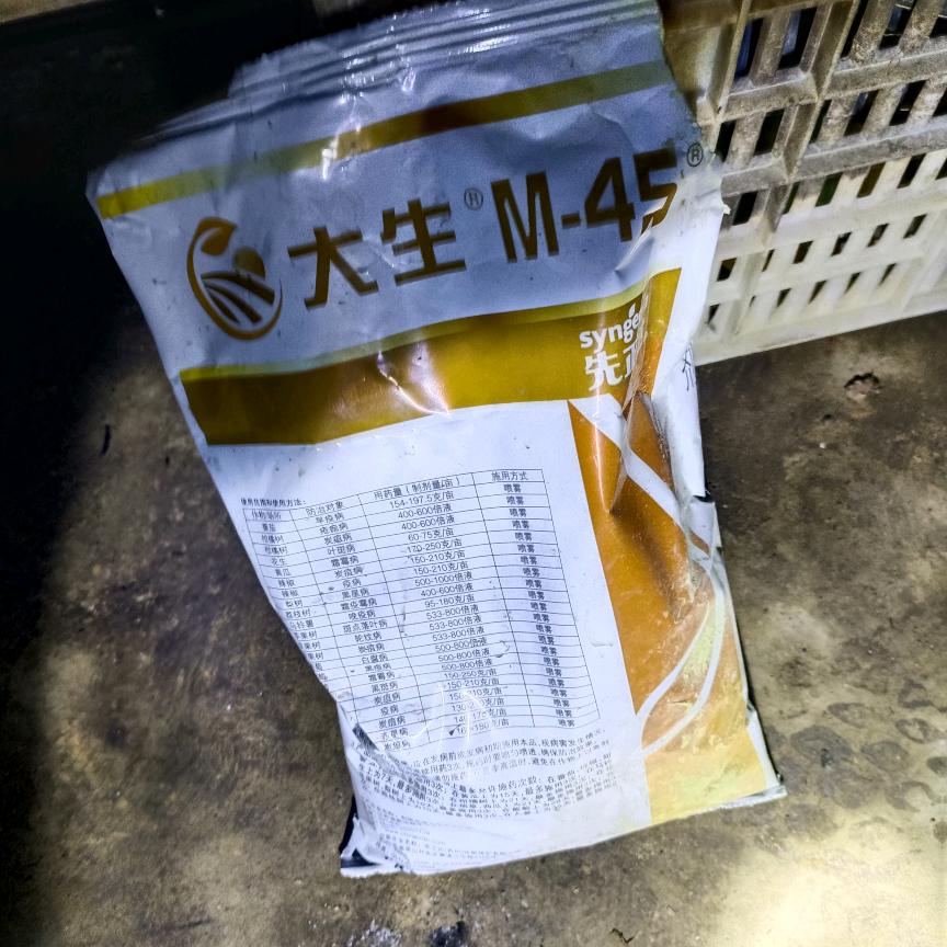 哥哥只是个传说。