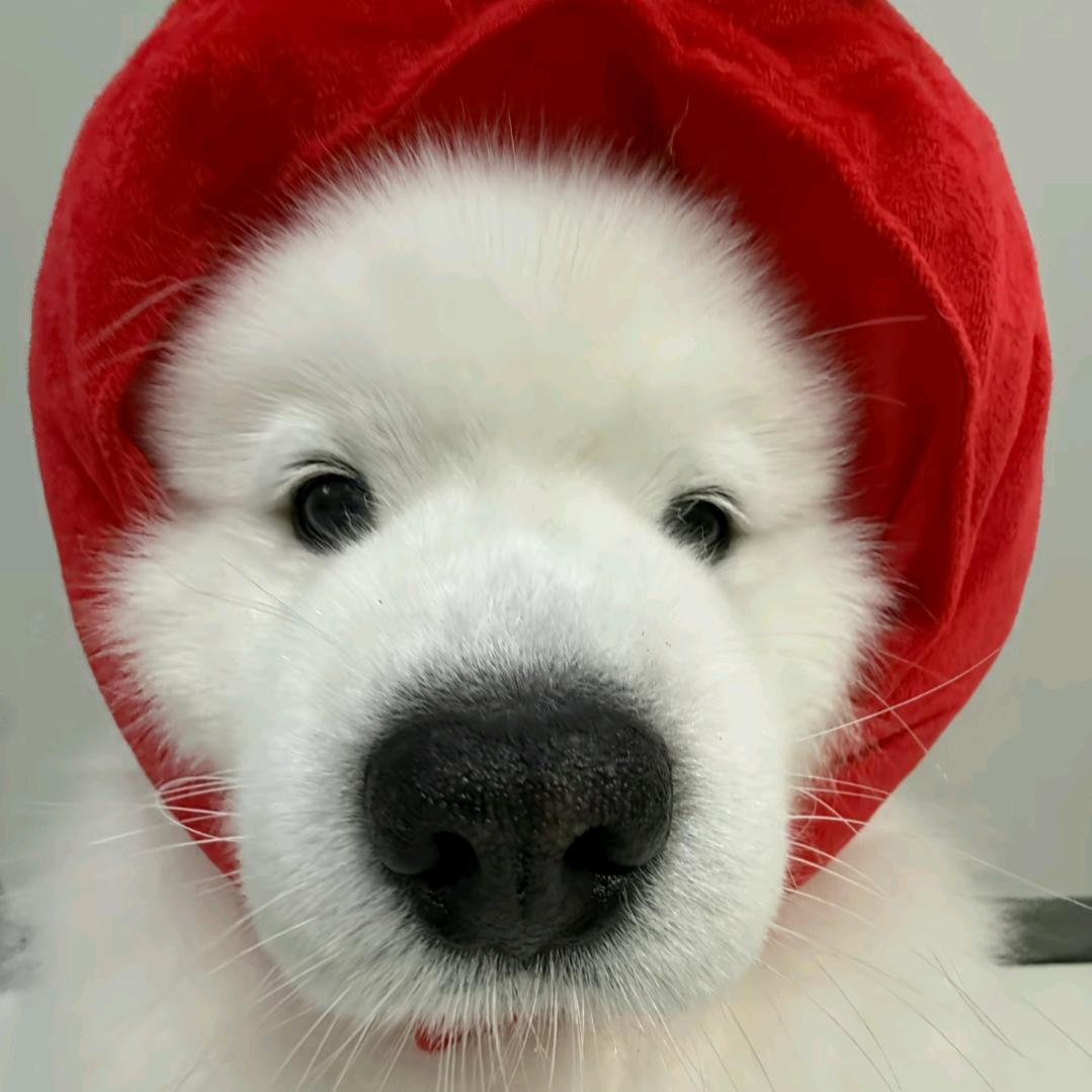 黑馒头
