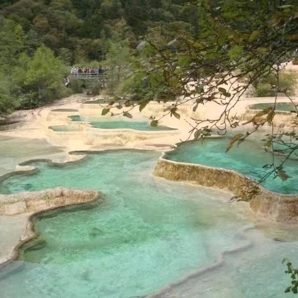 青苹果