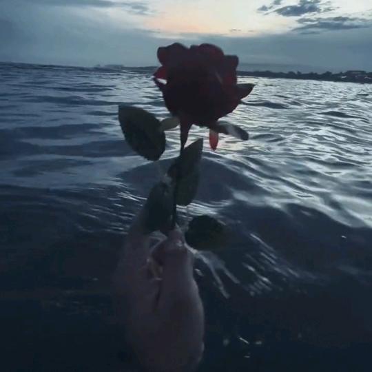 十二月（December）