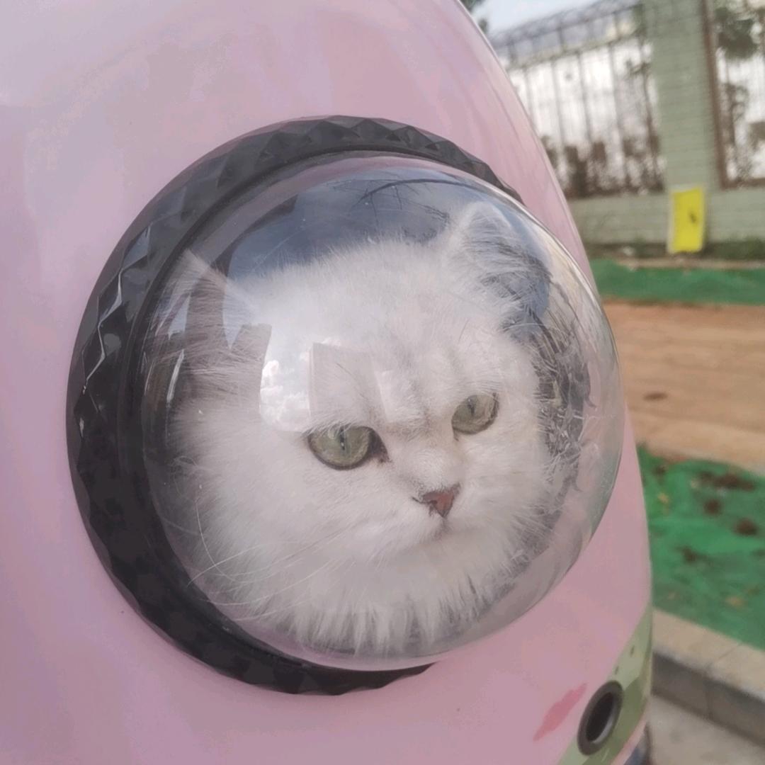 花年纪