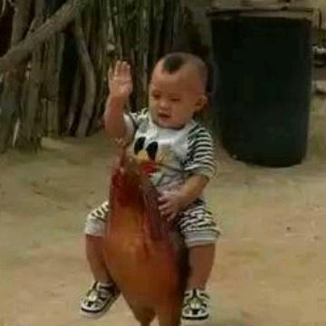 我是谁