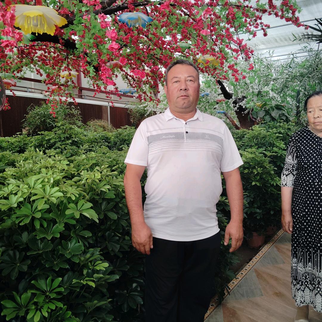 达伍提江