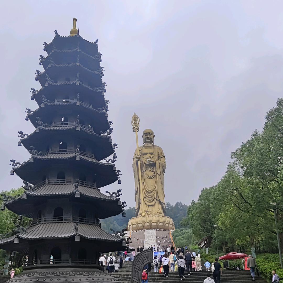 金锋项目投资