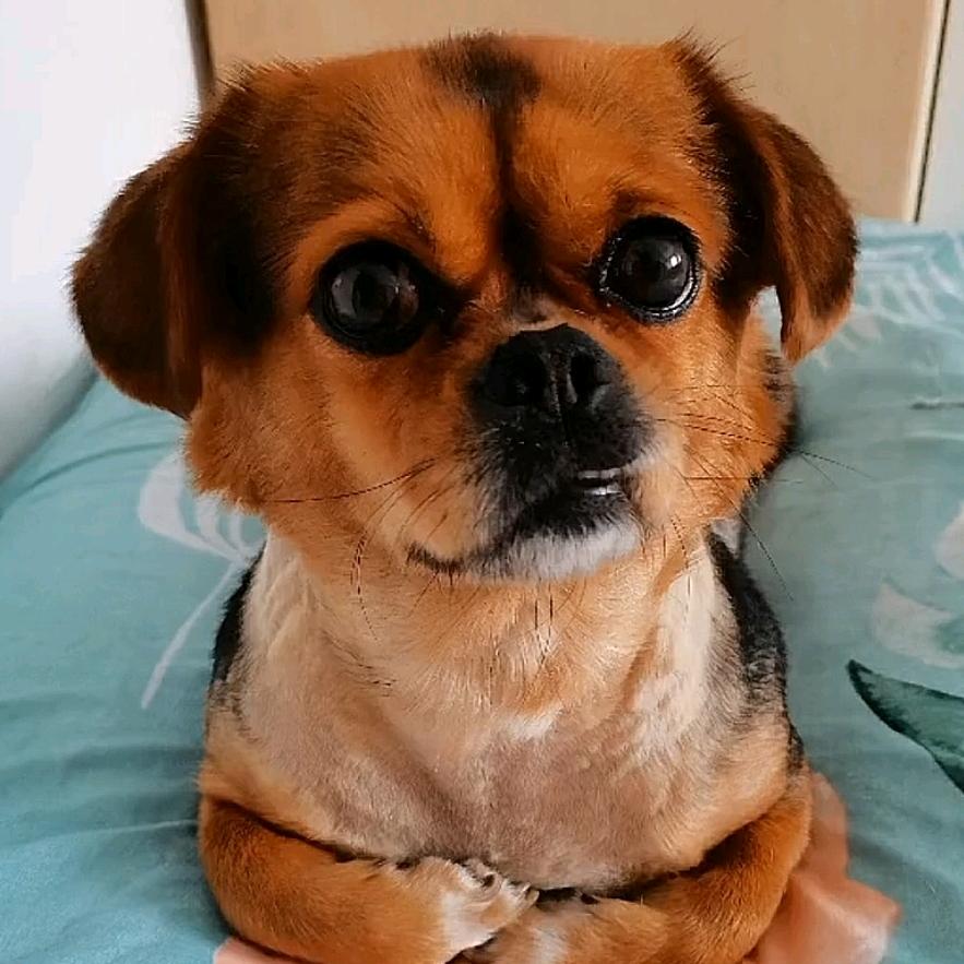 你是我心里的柔情