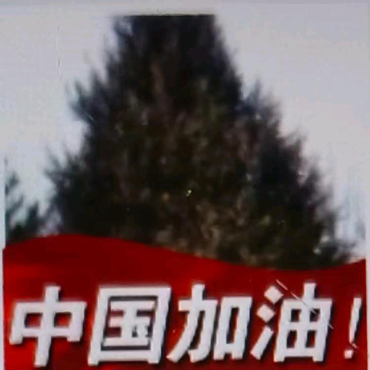 用户7325444416531