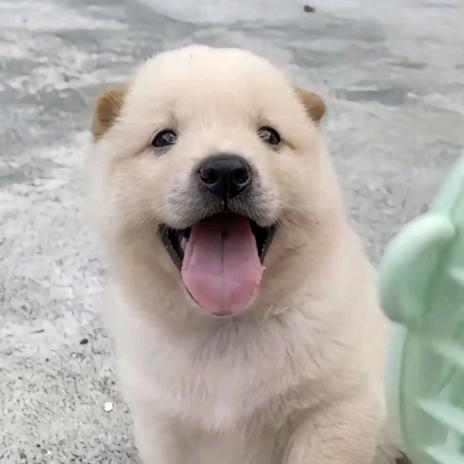 某莱yyy（画渣）