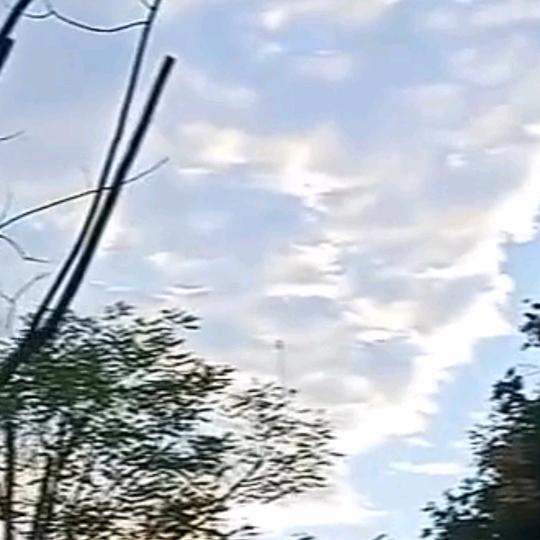 。随遇而安