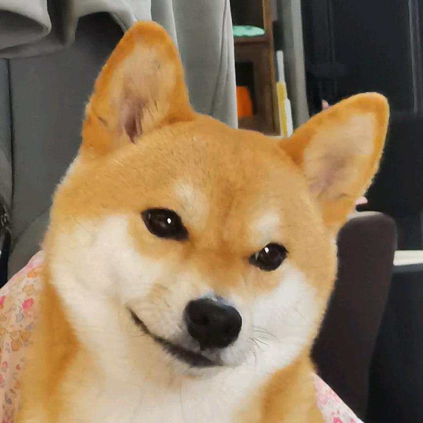 金州村民