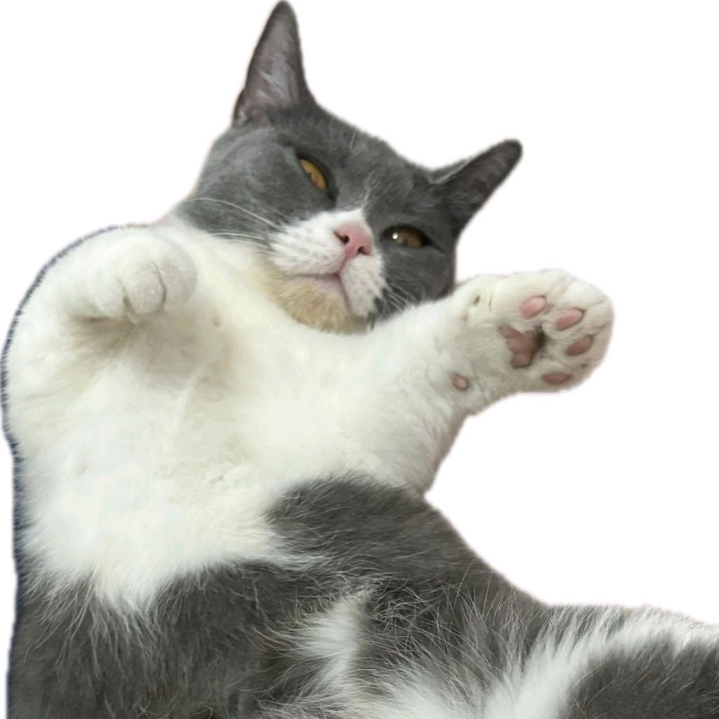 大大大大大啊大大顺