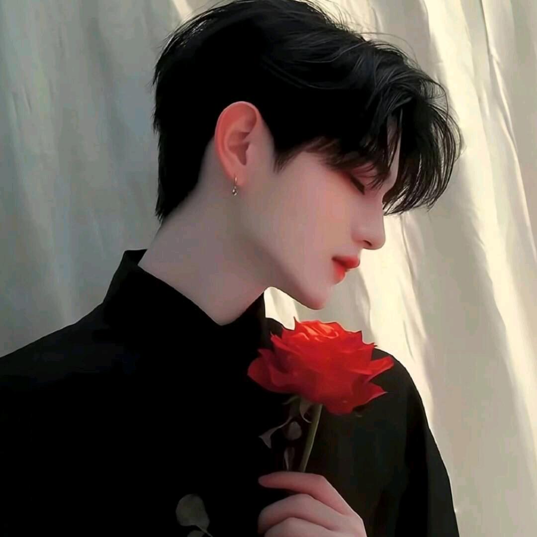 云南山歌小趴菜